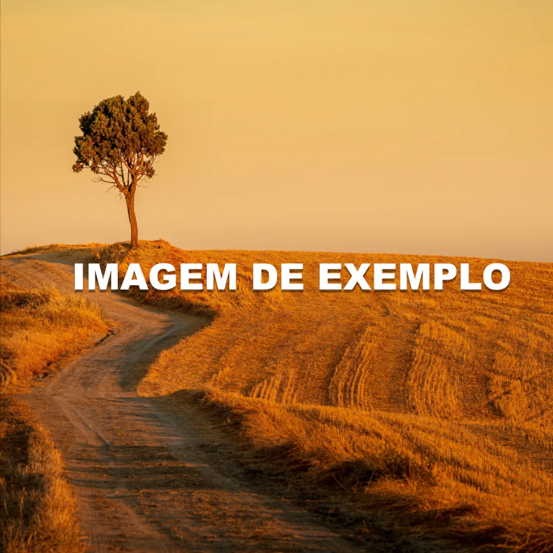 promocao-imagem-4093-8yn0EOZavq